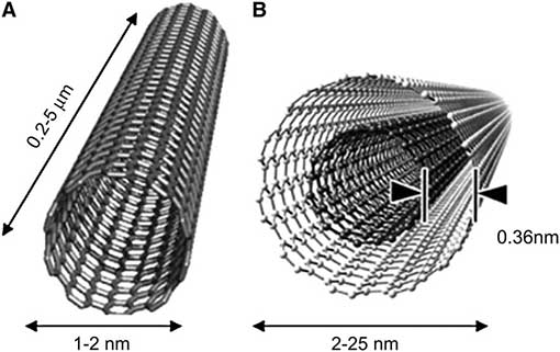 Carbon nanotubes trap light